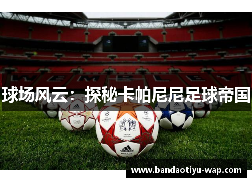 球场风云：探秘卡帕尼尼足球帝国