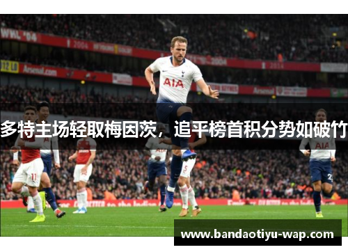 多特主场轻取梅因茨，追平榜首积分势如破竹